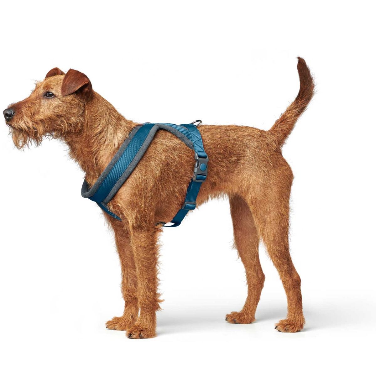 Hunter London Dog Harness  - RED S-M 52