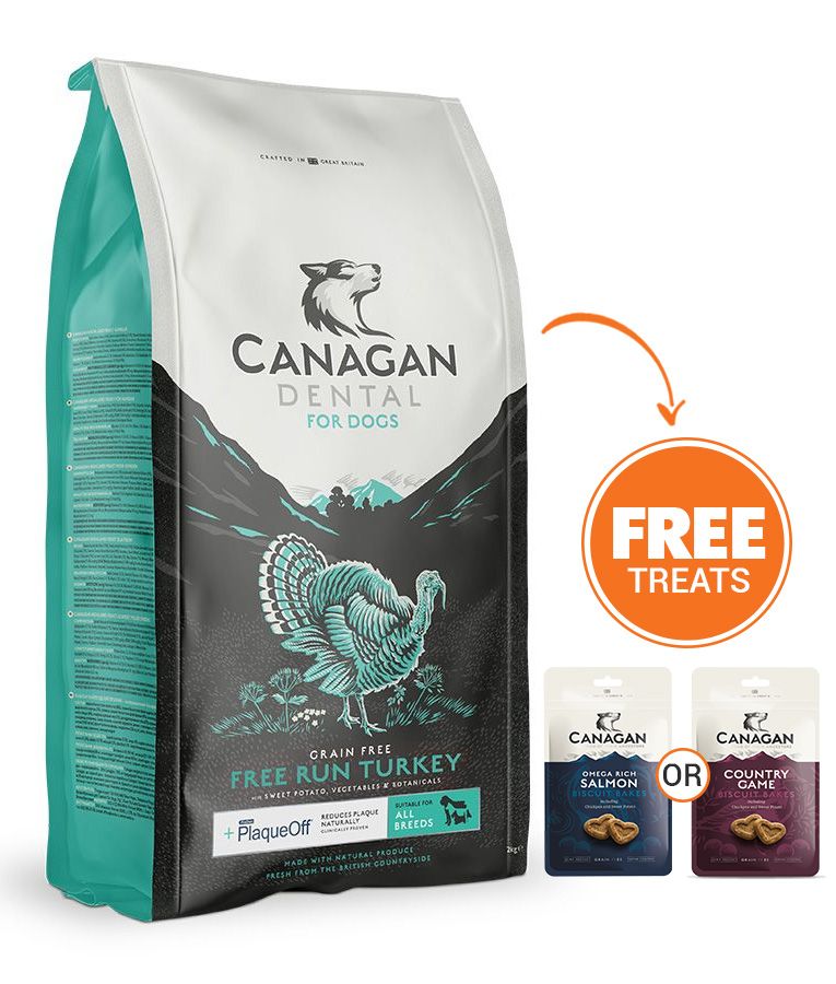 Canagan Dental Free Run Turkey Dry Dog Food - 12kg