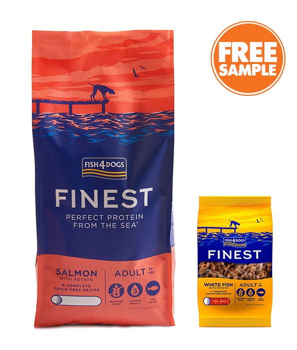 Fish4Dogs Finest Salmon Large Kibble Adult Dry Dog Food -