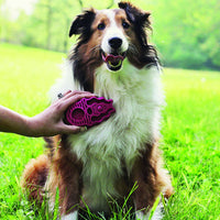 Thumbnail for Kong Zoom Groom Raspberry Dog Brush - Large