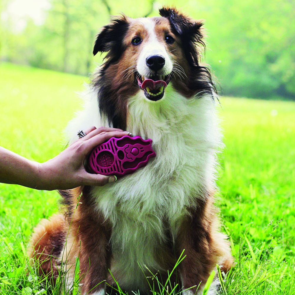 Kong Zoom Groom BoysenBerry Dog Brush - Small