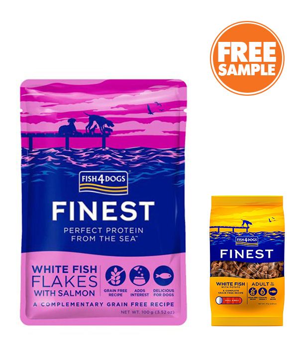 Fish4Dogs Finest White Fish Flakes with Salmon Adult Wet Dog Food 100g - 100g