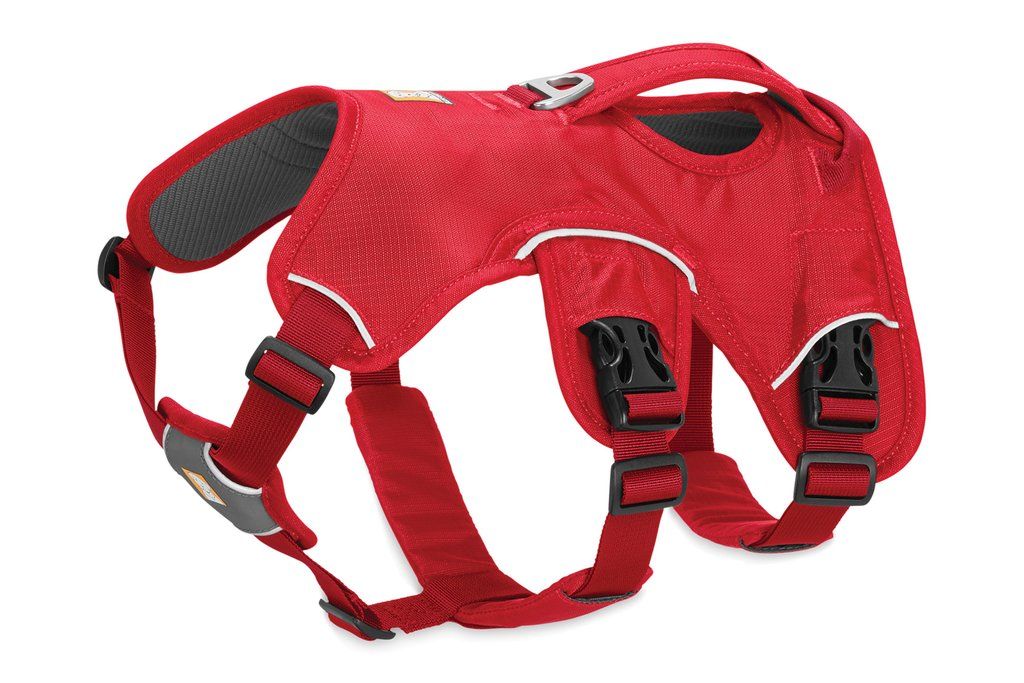 Ruffwear WebMaster Dog Harness - GREY L/XL