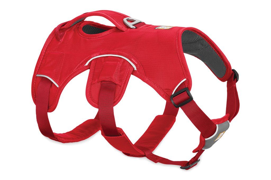 Ruffwear WebMaster Dog Harness - RED L/XL