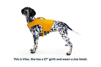 Thumbnail for Ruffwear Float Coat Dog Life Jacket  - ORANGE X-Large