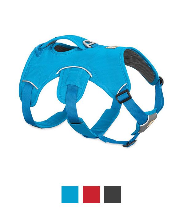 Ruffwear WebMaster Dog Harness - BLUE L/XL