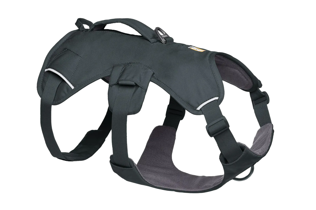 Ruffwear WebMaster Dog Harness - Blaze Orange S