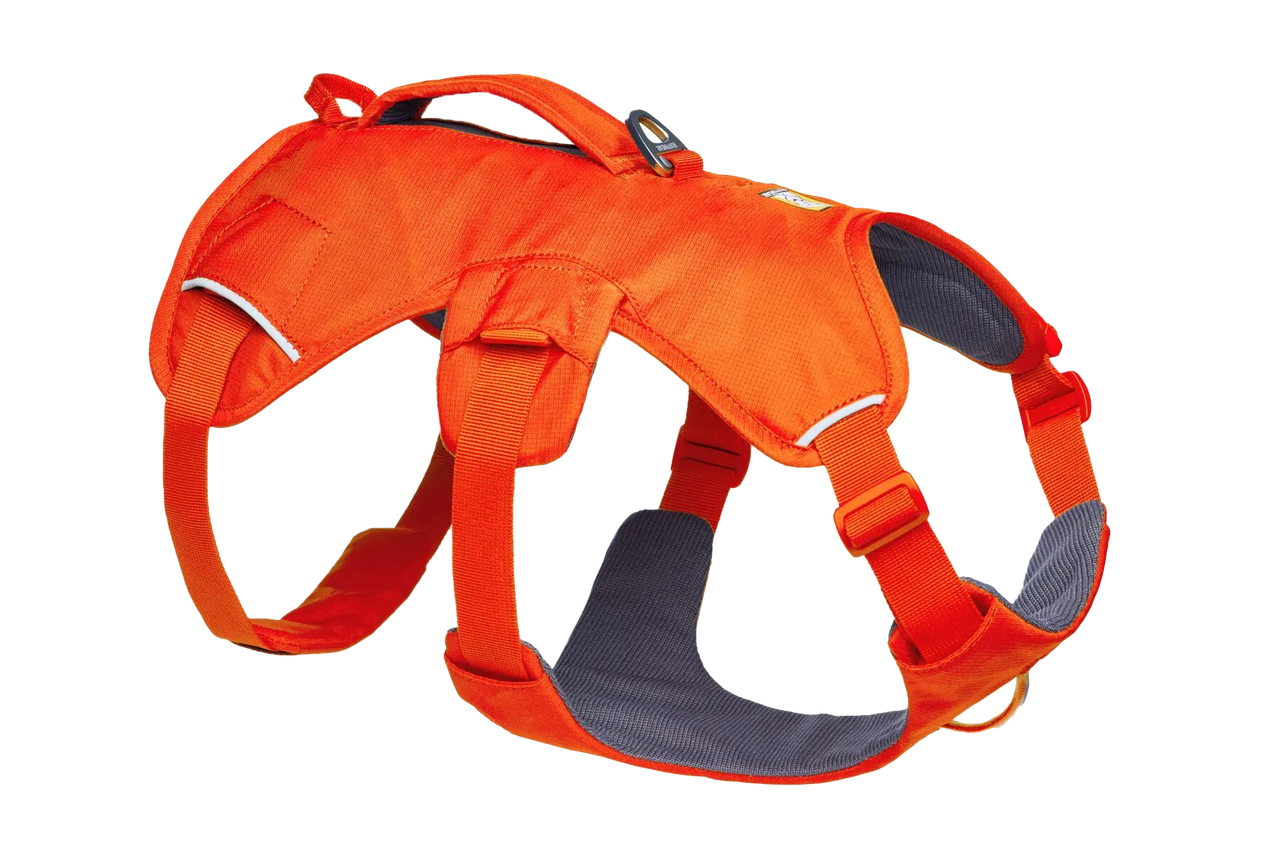 Ruffwear WebMaster Dog Harness - Blaze Orange S