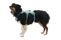 Ruffwear WebMaster Dog Harness - Blaze Orange S
