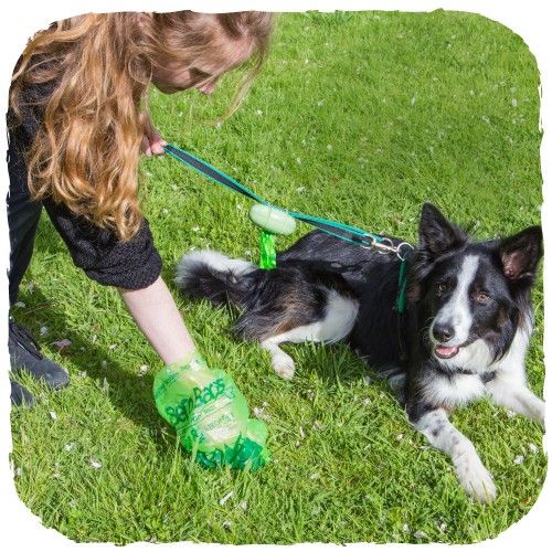 Beco Pets Pocket Eco-Friendly Poop Bag Dispenser - GREEN