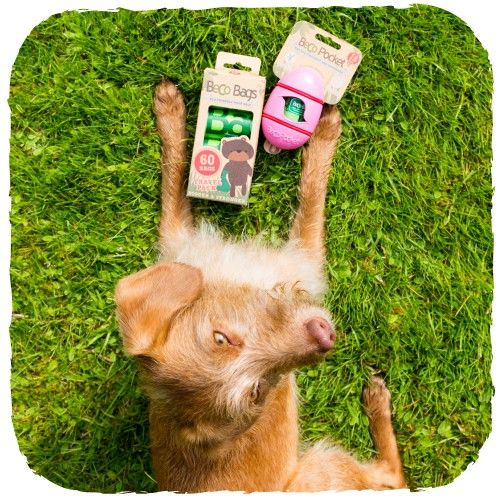 Beco Pets Pocket Eco-Friendly Poop Bag Dispenser - NATURAL