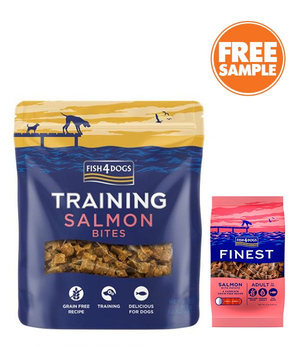 Fish4Dogs Training Salmon Bites Dog Treats 80g - 80G