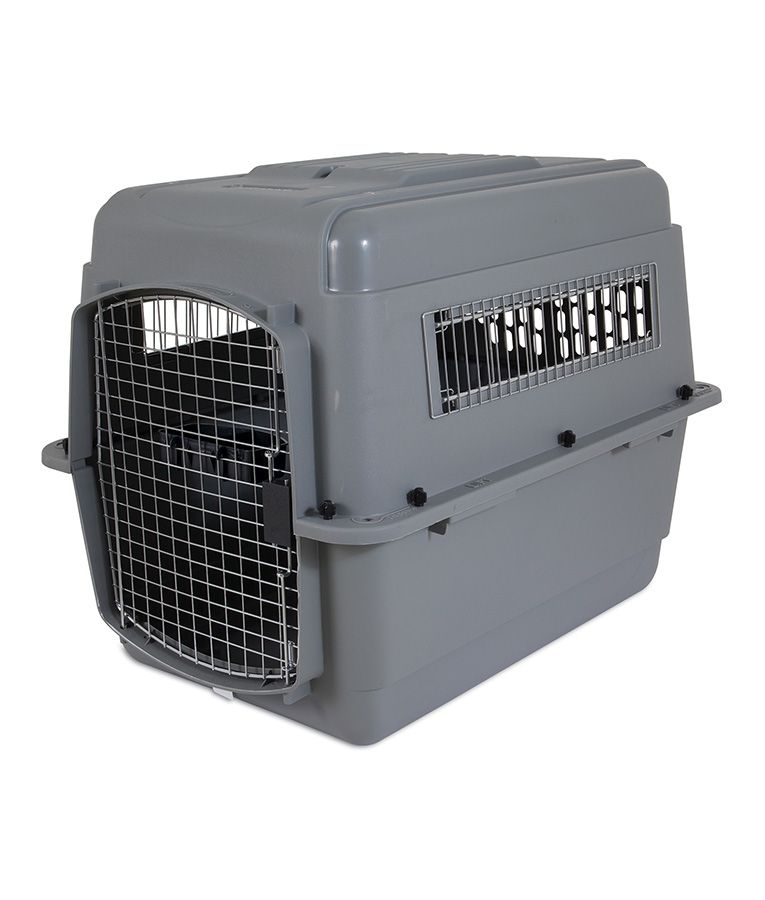 Petmate Sky Kennel Dog Crate - INTER