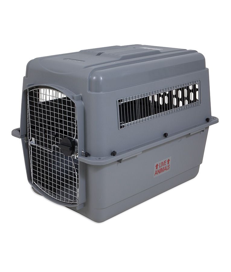 Petmate Sky Kennel Dog Crate - L