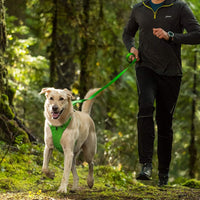 Thumbnail for Ruffwear Front Range Dog Leash - TUMALO TEAL
