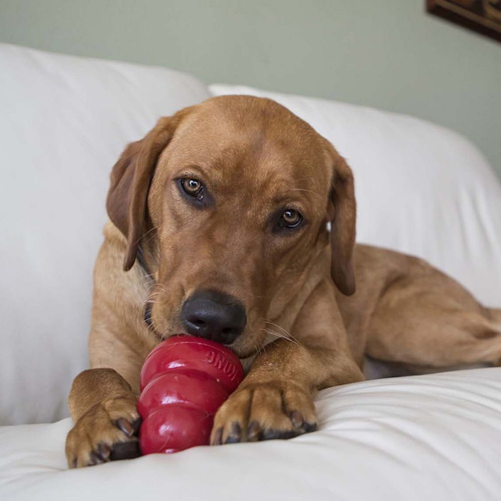 Kong Snacks Liver Recipe Dog Toy - L