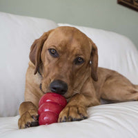 Thumbnail for Kong Snacks Liver Recipe Dog Toy - L