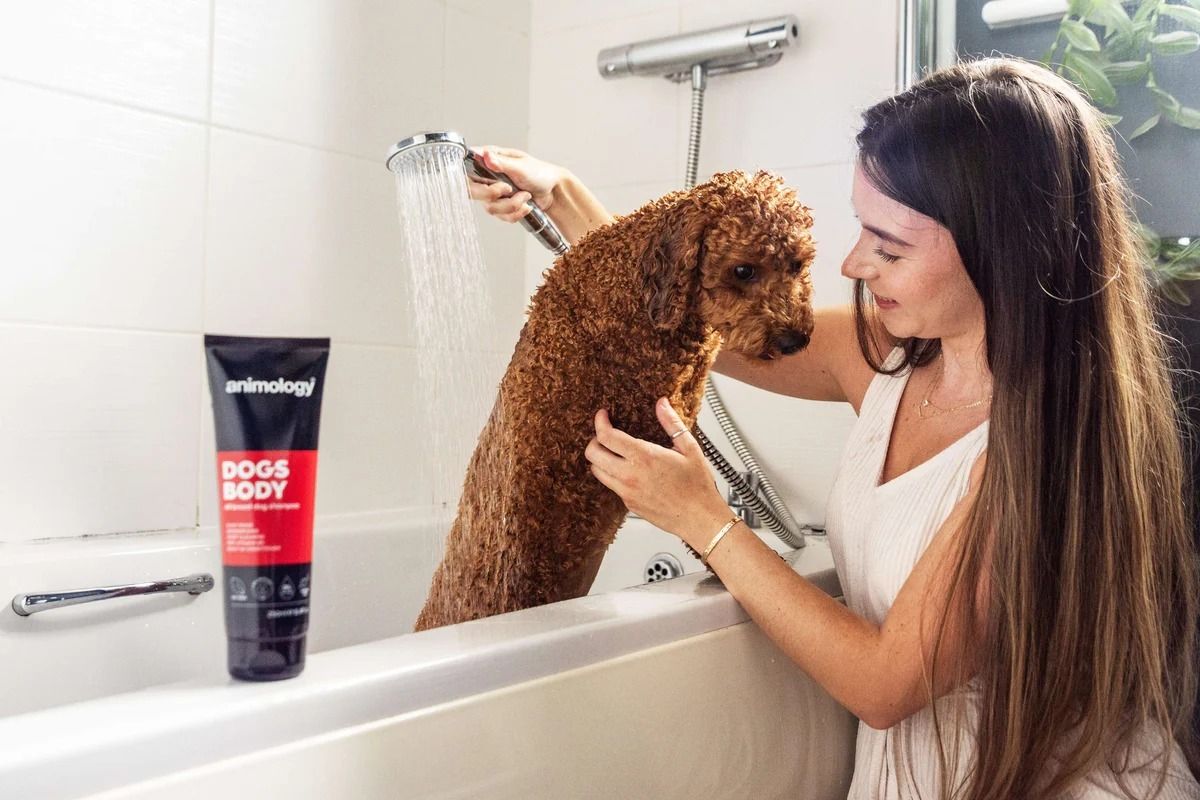 Animology Dogs Body All Breed Dog Shampoo - 5 LITERS