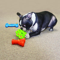 Thumbnail for Kong Quest Wishbone Dog Toy - L