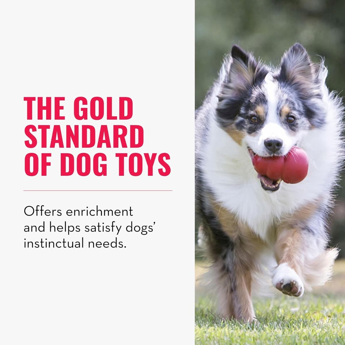 Kong Classic Dog Toy - XS
