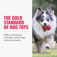 Kong Classic Dog Toy - XS