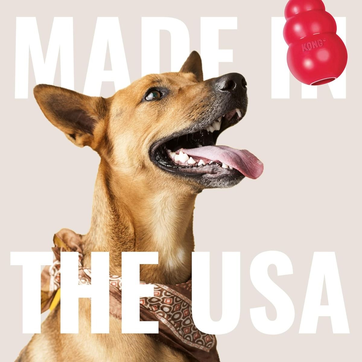 Kong Classic Dog Toy - XS
