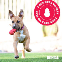 Kong Classic Dog Toy - XS