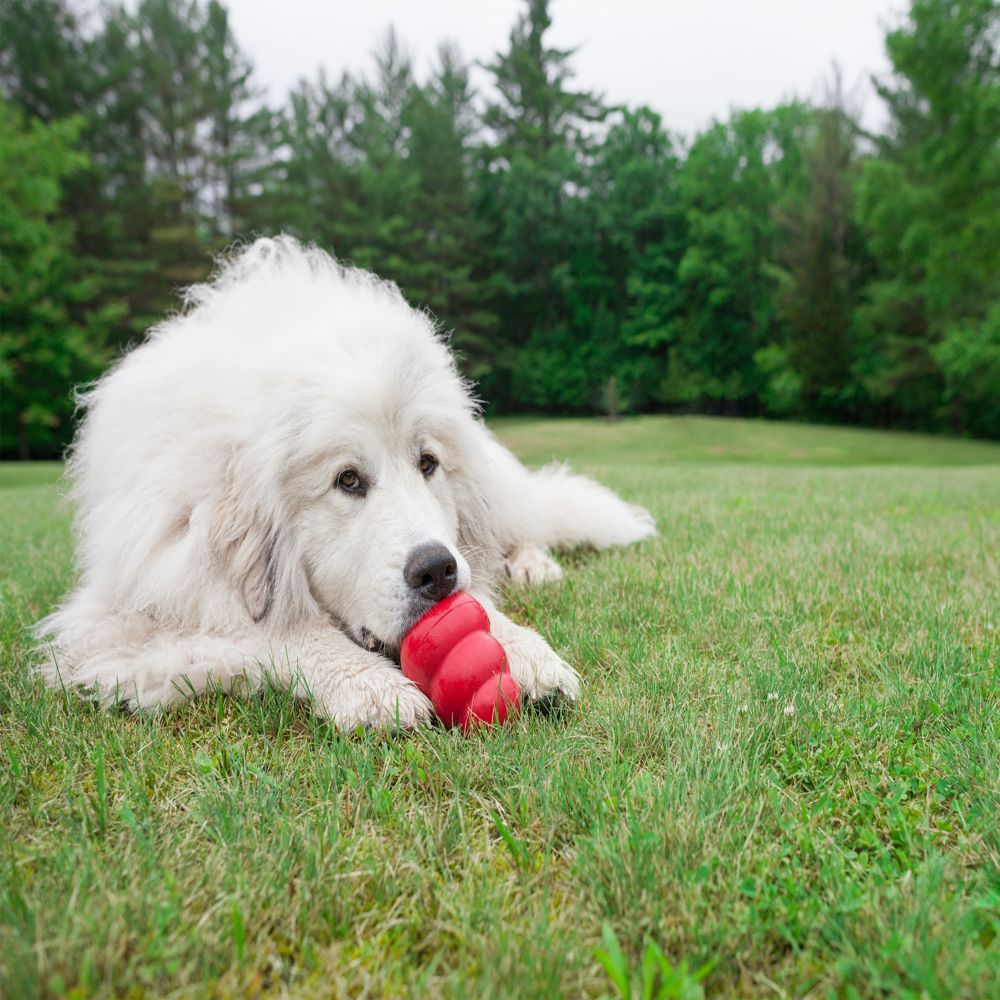 Kong Classic Dog Toy - X-L