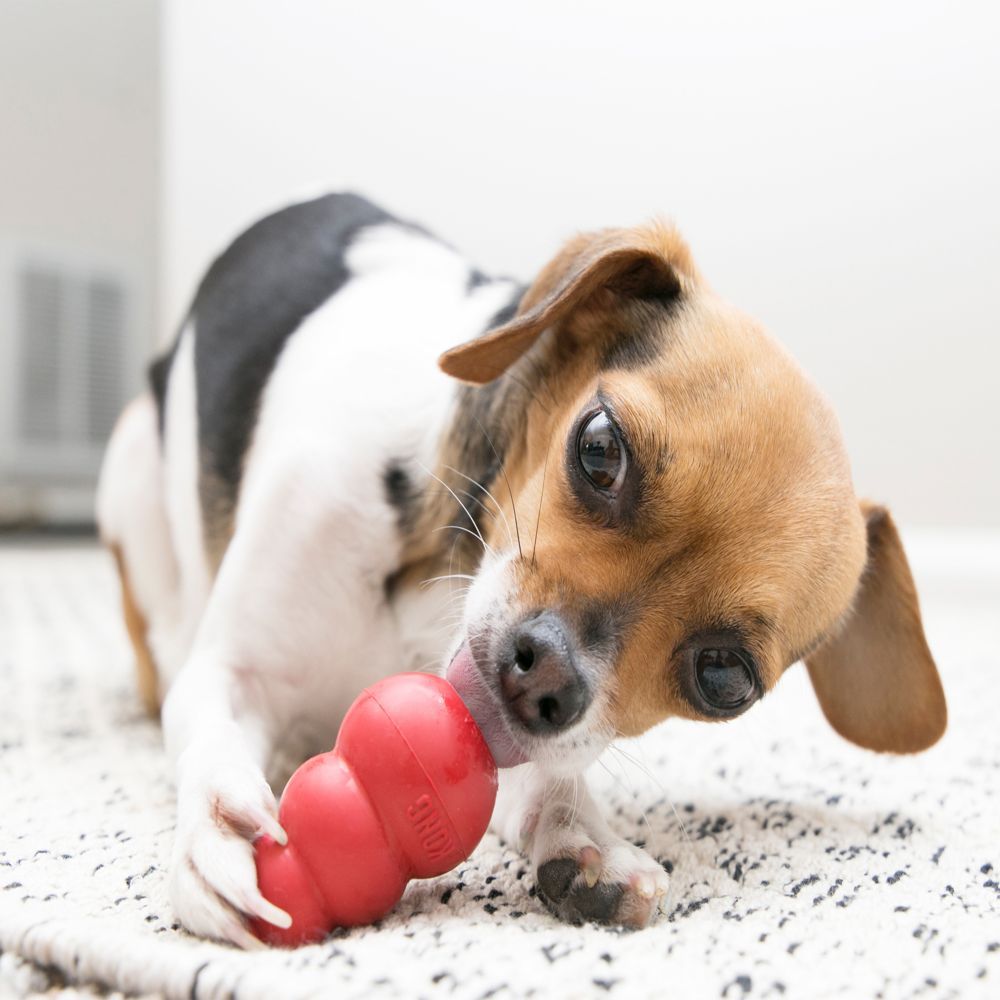 Kong Classic Dog Toy - X-S