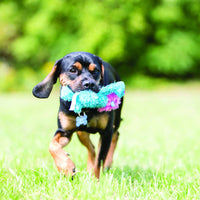 Thumbnail for Kong Cozie King Lion Dog Toy - S