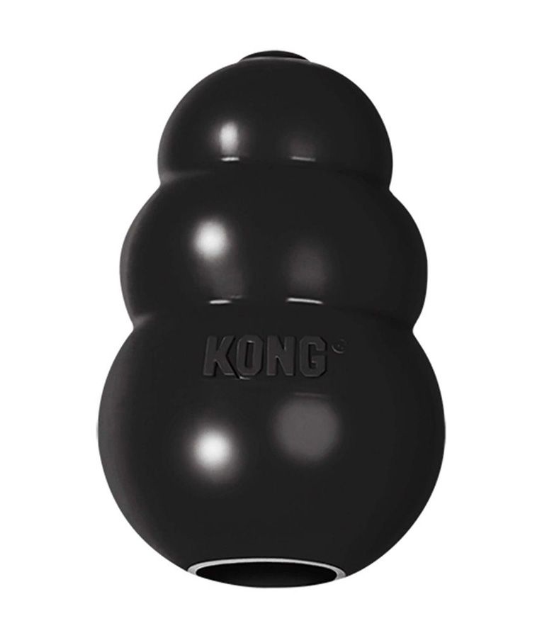 Kong Extreme Dog Toy - L