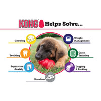 Thumbnail for Kong Puppy Toy - M