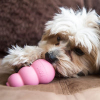 Thumbnail for Kong Puppy Toy - M