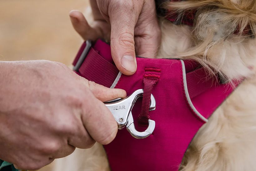 Ruffwear Front Range Padded Dog Harness - RED XX-Small