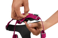 Thumbnail for Ruffwear Front Range Padded Dog Harness - PINK Small