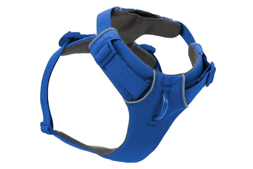 Ruffwear Front Range Padded Dog Harness - Blue Pool Large/X-Large