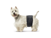 Thumbnail for Savic Male Nappy Disposable Dog Diapers 12pcs - Small