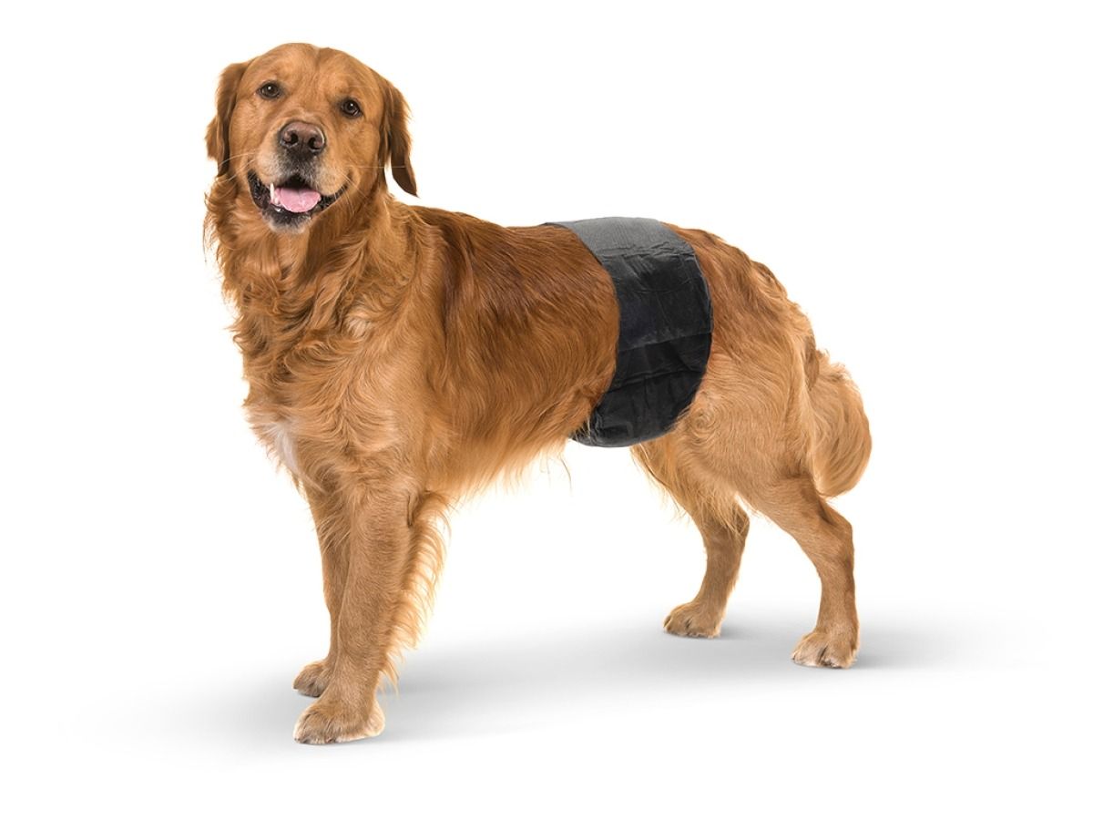 Savic Male Nappy Disposable Dog Diapers 12pcs - Large