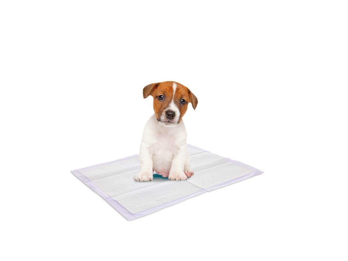 Savic Puppy Trainer Lavender Puppy Training Pads Medium 30pcs - Medium