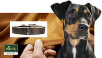 Thumbnail for Hunter Canadian Elk Dog Leash -