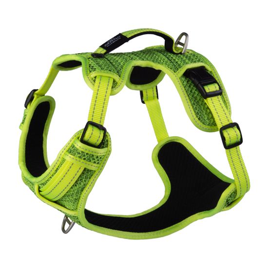 Rogz Explore Dog Harness - Dayglo Medium