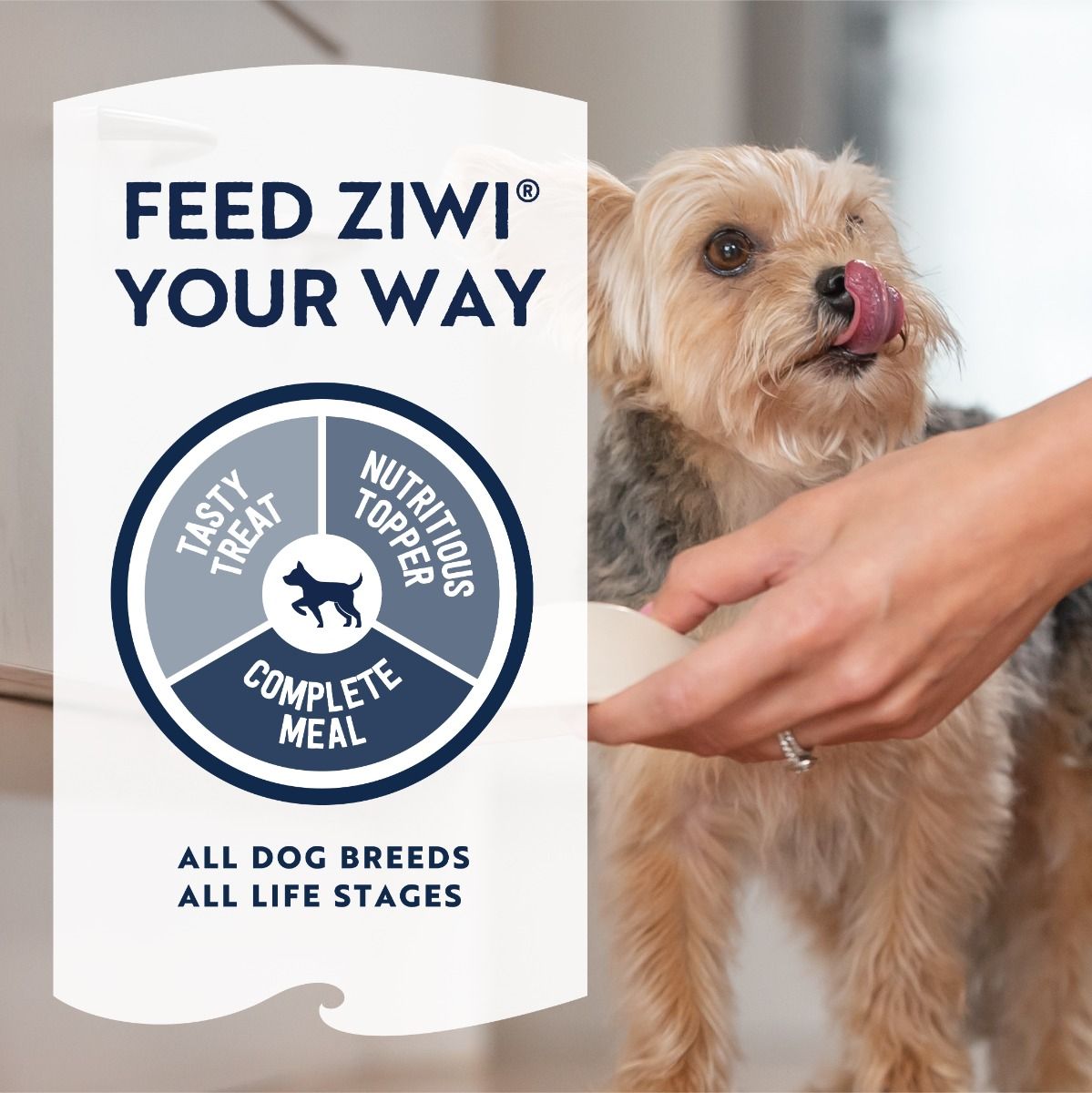 ZIWI Peak Air-Dried Mackerel & Lamb Recipe Dry Dog Food - 4kg