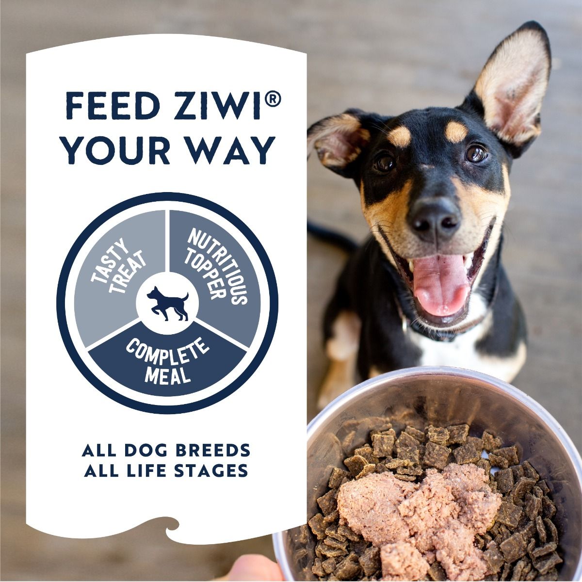 ZIWI Peak Beef Recipe Wet Dog Food - 170G