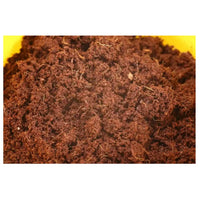 Sera Reptile Coco Soil (650g/8L)[Volume - 8L, Weight - 650g]