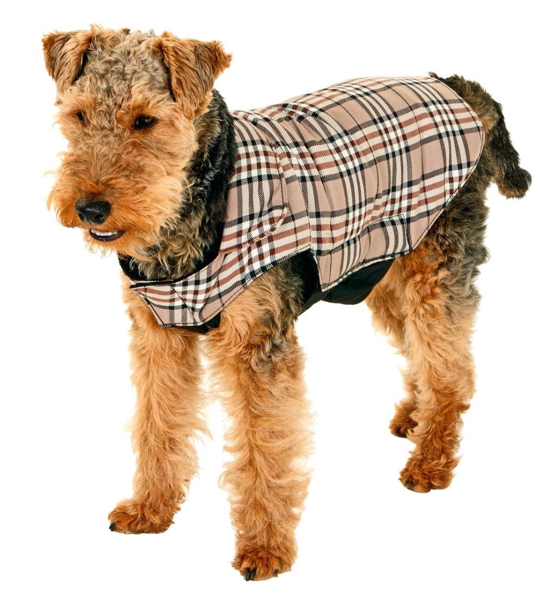 Flamingo English Sytle Dog Coat - 40