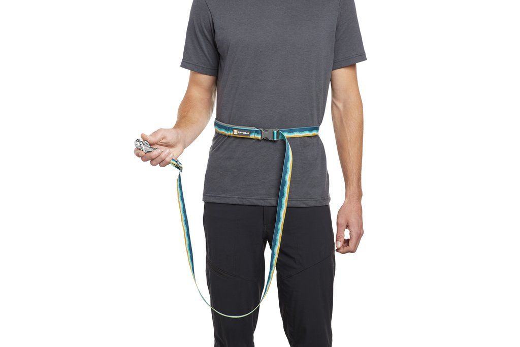 Ruffwear Crag Reflective Dog Leash - Alpine Dawn