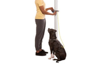 Thumbnail for Ruffwear Hitch Hiker Dog Portable Hitch & Leash Combo - Slate Blue