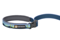 Thumbnail for Ruffwear Crag Reflective Dog Leash - Alpine Dawn