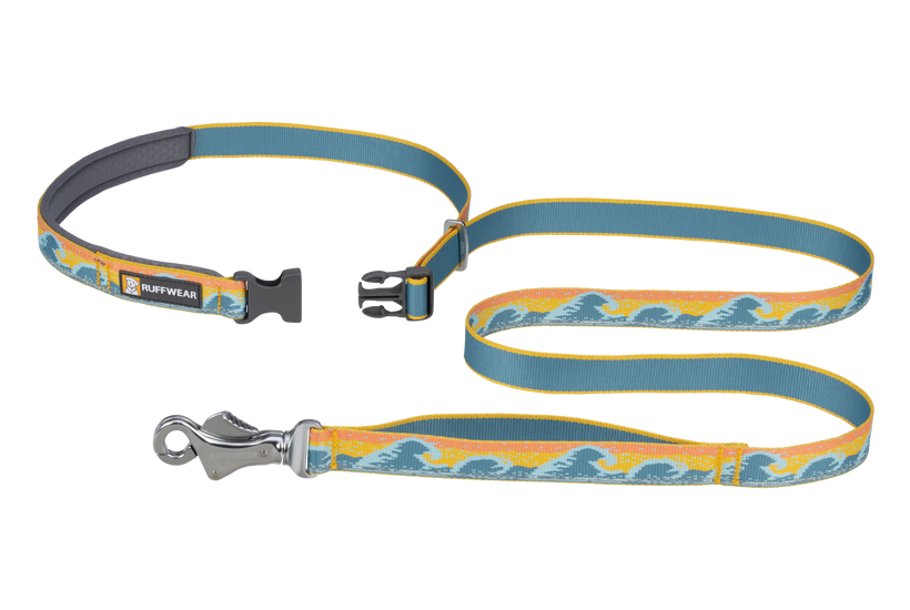 Ruffwear Crag Reflective Dog Leash - Rising Wave