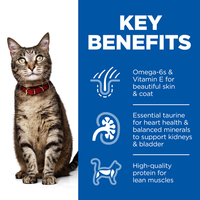 Hill’s Science Plan Adult Wet Cat Food Multipack with Turkey, Chicken Pouches (12x85g)
